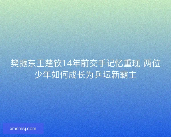 樊振东王楚钦14年前交手记忆重现 两位少年如何成长为乒坛新霸主