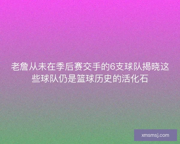 老詹从未在季后赛交手的6支球队揭晓这些球队仍是篮球历史的活化石