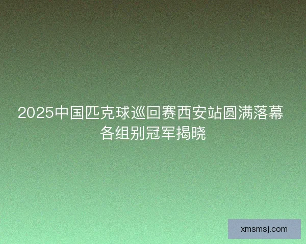 2025中国匹克球巡回赛西安站圆满落幕 各组别冠军揭晓