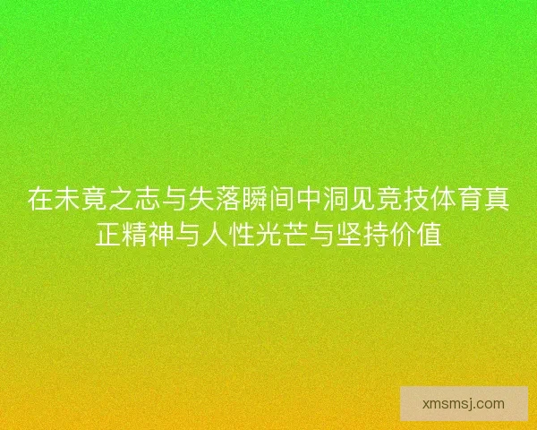 在未竟之志与失落瞬间中洞见竞技体育真正精神与人性光芒与坚持价值
