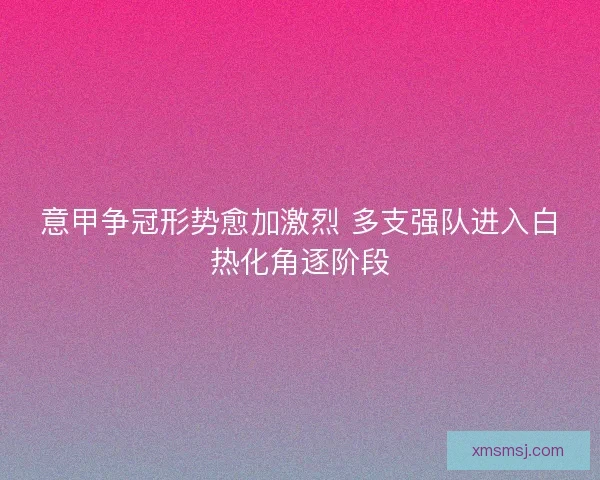 意甲争冠形势愈加激烈 多支强队进入白热化角逐阶段