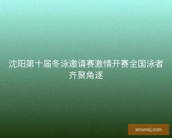 沈阳第十届冬泳邀请赛激情开赛全国泳者齐聚角逐