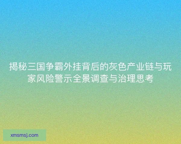 揭秘三国争霸外挂背后的灰色产业链与玩家风险警示全景调查与治理思考