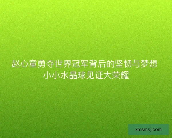 赵心童勇夺世界冠军背后的坚韧与梦想 小小水晶球见证大荣耀 赵心童勇夺世界冠军背后的坚韧与梦想 小小水晶球见证大荣耀
